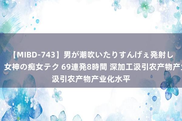 【MIBD-743】男が潮吹いたりすんげぇ発射しちゃう！ 女神の痴女テク 69連発8時間 深加工汲引农产物产业化水平