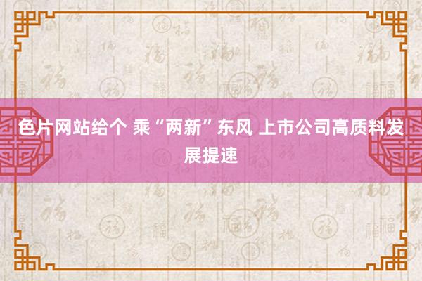 色片网站给个 乘“两新”东风 上市公司高质料发展提速