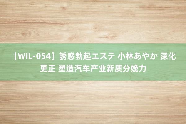 【WIL-054】誘惑勃起エステ 小林あやか 深化更正 塑造汽车产业新质分娩力