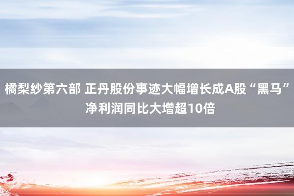 橘梨纱第六部 正丹股份事迹大幅增长成A股“黑马”  净利润同比大增超10倍