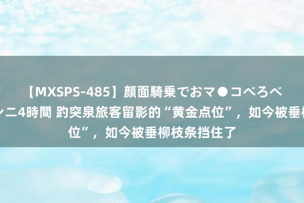 【MXSPS-485】顔面騎乗でおマ●コべろべろ！絶頂クンニ4時間 趵突泉旅客留影的“黄金点位”，如今被垂柳枝条挡住了