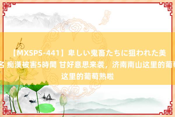 【MXSPS-441】卑しい鬼畜たちに狙われた美女15名 痴漢被害5時間 甘好意思来袭，济南南山这里的葡萄熟啦