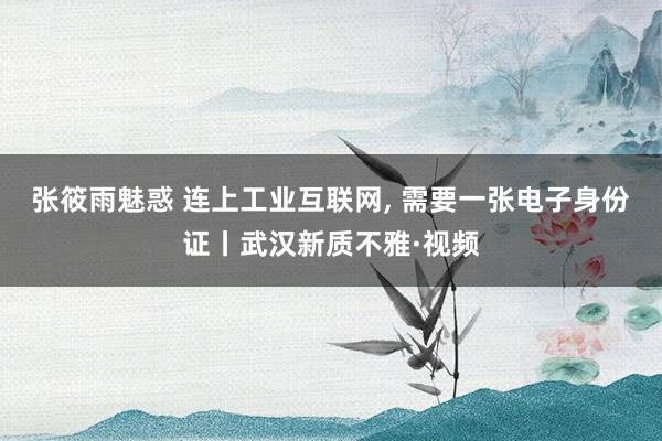 张筱雨魅惑 连上工业互联网, 需要一张电子身份证丨武汉新质不雅·视频