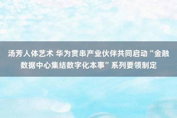 汤芳人体艺术 华为贯串产业伙伴共同启动“金融数据中心集结数字化本事”系列要领制定