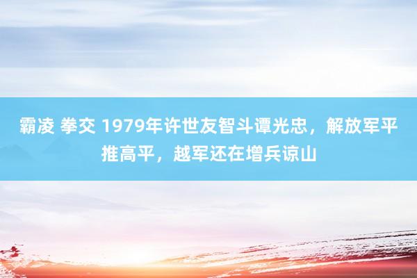 霸凌 拳交 1979年许世友智斗谭光忠，解放军平推高平，越军还在增兵谅山