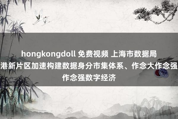 hongkongdoll 免费视频 上海市数据局：提拔临港新片区加速构建数据身分市集体系、作念大作念强数字经济