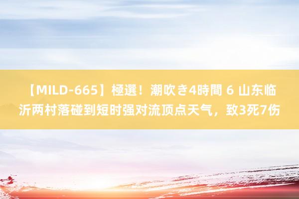 【MILD-665】極選！潮吹き4時間 6 山东临沂两村落碰到短时强对流顶点天气，致3死7伤