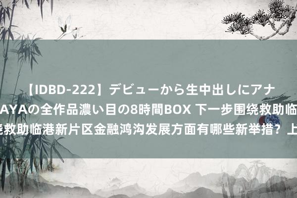 【IDBD-222】デビューから生中出しにアナルまで！最強の芸能人AYAの全作品濃い目の8時間BOX 下一步围绕救助临港新片区金融鸿沟发展方面有哪些新举措？上海市委金融办修起