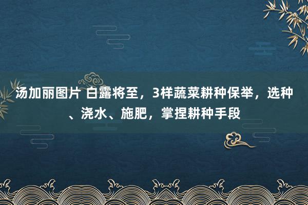 汤加丽图片 白露将至，3样蔬菜耕种保举，选种、浇水、施肥，掌捏耕种手段