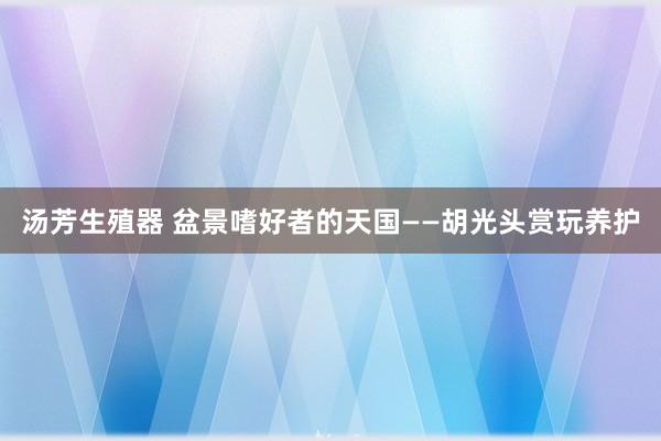 汤芳生殖器 盆景嗜好者的天国——胡光头赏玩养护