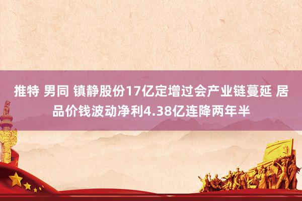 推特 男同 镇静股份17亿定增过会产业链蔓延 居品价钱波动净利4.38亿连降两年半