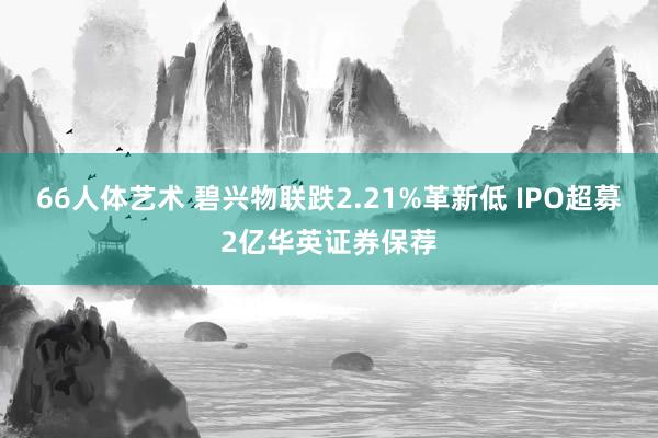 66人体艺术 碧兴物联跌2.21%革新低 IPO超募2亿华英证券保荐