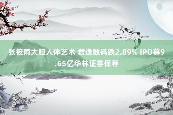 张筱雨大胆人体艺术 君逸数码跌2.89% IPO募9.65亿华林证券保荐