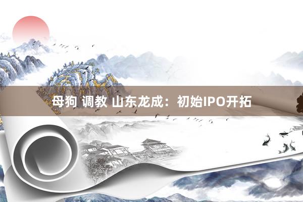 母狗 调教 山东龙成：初始IPO开拓