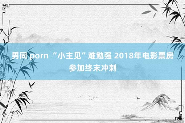 男同 porn “小主见”难勉强 2018年电影票房参加终末冲刺