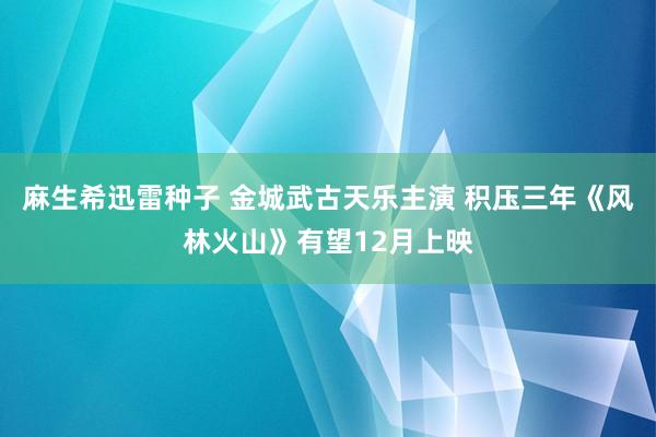 麻生希迅雷种子 金城武古天乐主演 积压三年《风林火山》有望12月上映