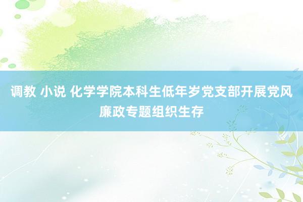 调教 小说 化学学院本科生低年岁党支部开展党风廉政专题组织生存