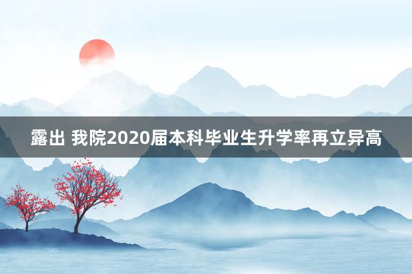 露出 我院2020届本科毕业生升学率再立异高