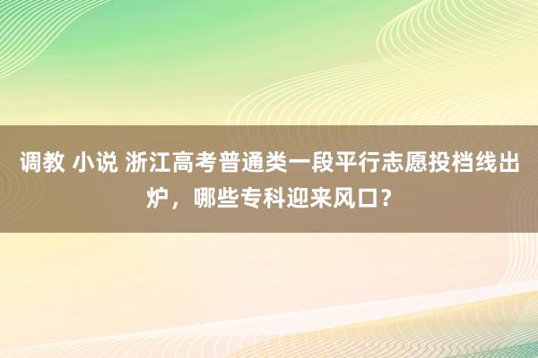 调教 小说 浙江高考普通类一段平行志愿投档线出炉，哪些专科迎来风口？